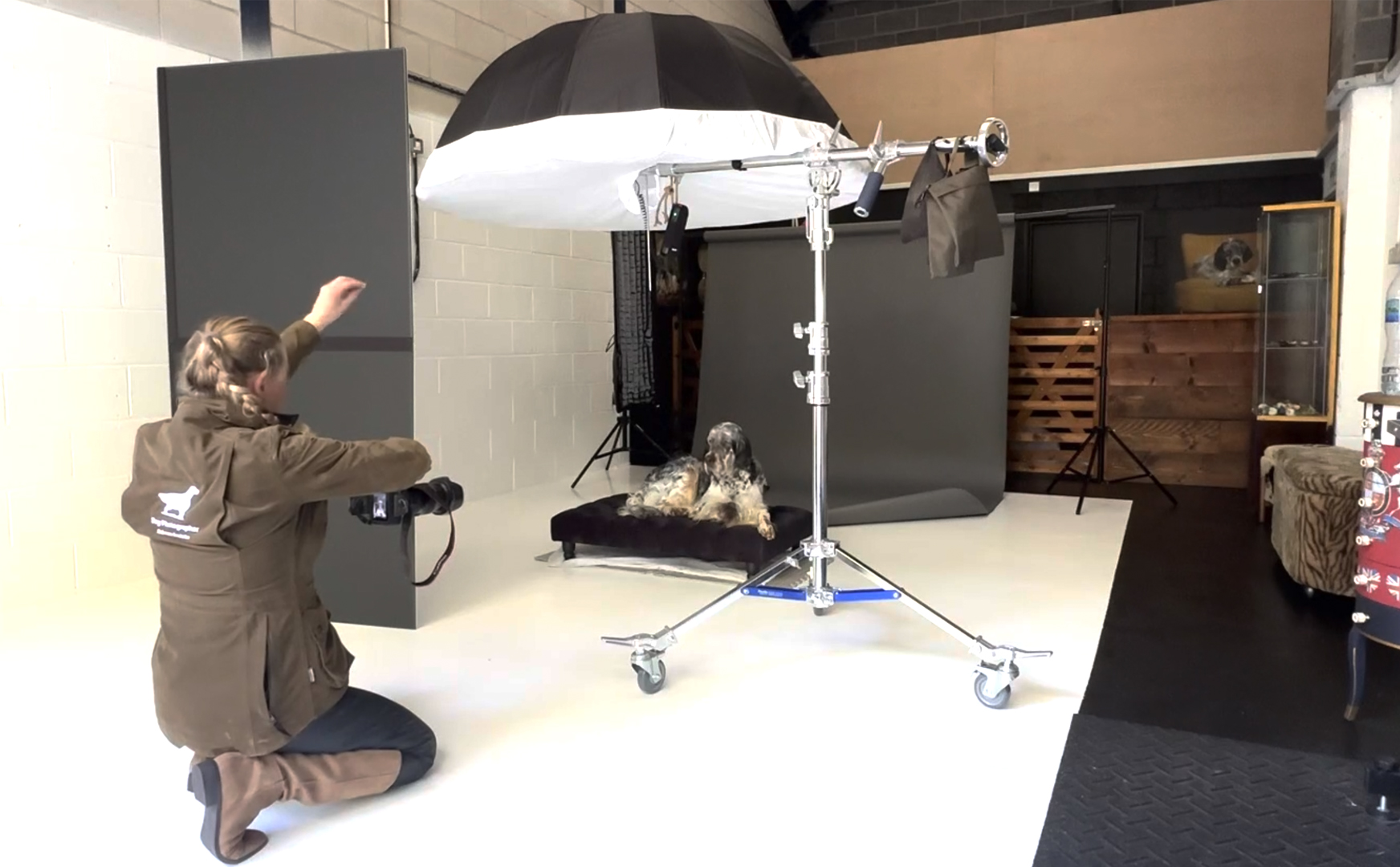 Dog Photography Gift Voucher - Image 6